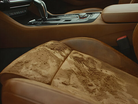 𝓕𝓻𝓸𝓶 𝓽𝓱𝓮 𝓖𝓻𝓪𝓿𝓮 𝓒𝓵𝓮𝓪𝓷𝓲𝓷𝓰